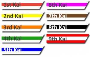 Kai Grade Belts